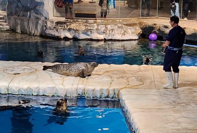 WhatsApp-Image-2023-12-19-at-3.25.46-PM-scaled